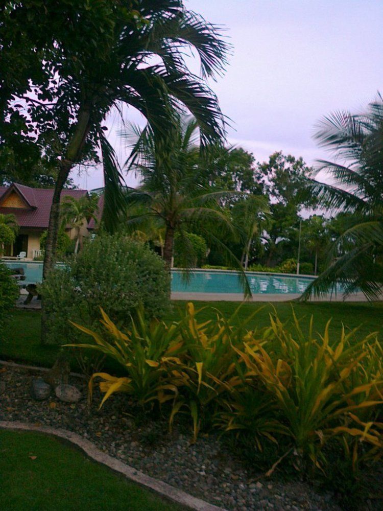Bohol Divers Resort Totolan Экстерьер фото