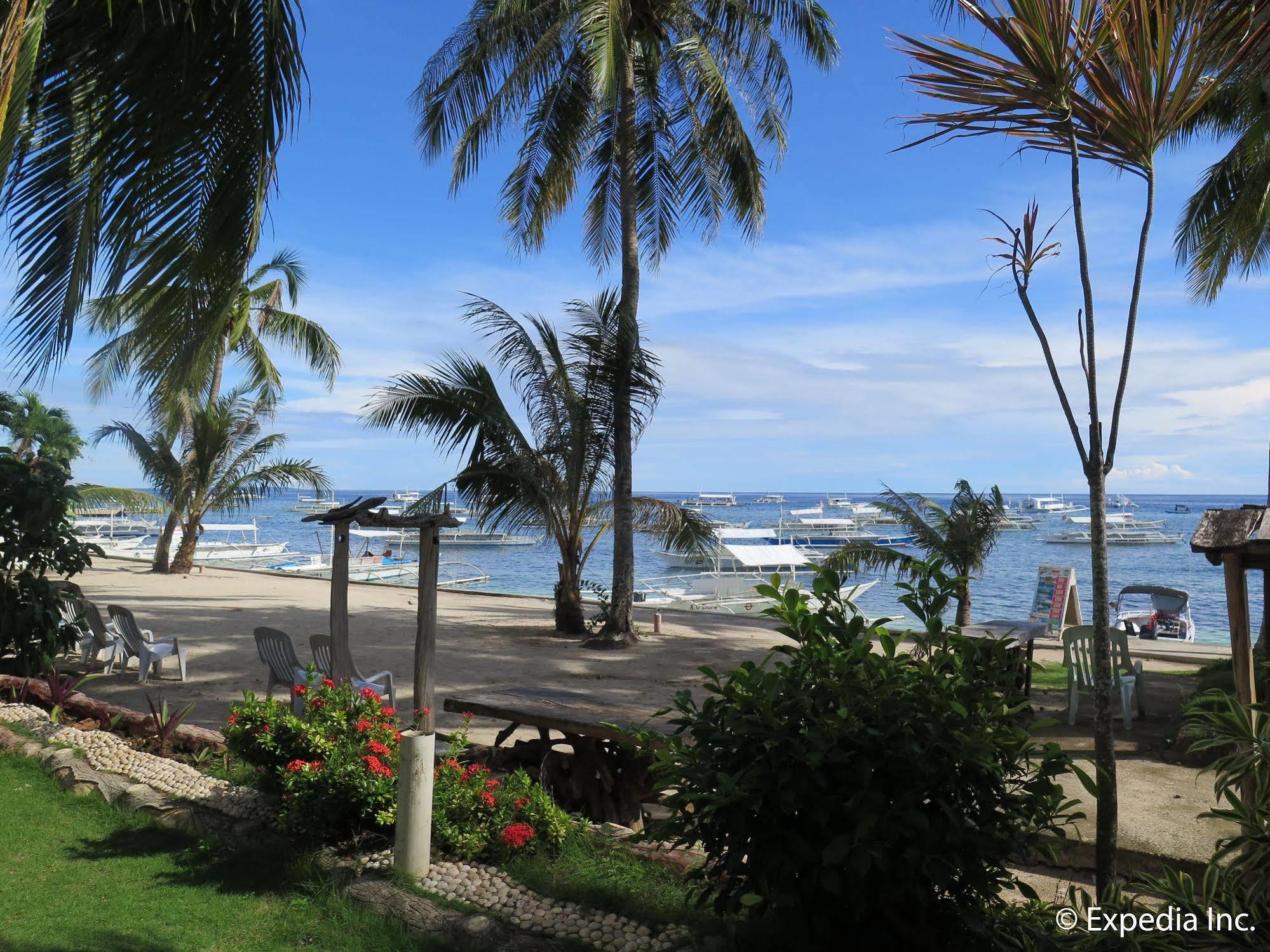 Bohol Divers Resort Totolan Экстерьер фото